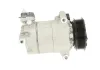 Kompressor, Klimaanlage BV PSH 090.595.024.874 Bild Kompressor, Klimaanlage BV PSH 090.595.024.874