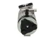 Kompressor, Klimaanlage BV PSH 090.595.039.020