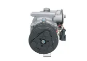 Kompressor, Klimaanlage BV PSH 090.595.061.876