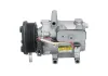 Kompressor, Klimaanlage BV PSH 090.595.061.876 Bild Kompressor, Klimaanlage BV PSH 090.595.061.876
