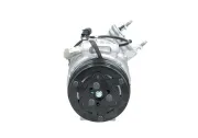 Kompressor, Klimaanlage BV PSH 090.595.083.876