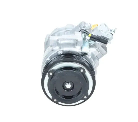 Kompressor, Klimaanlage BV PSH 090.595.091.050 Bild Kompressor, Klimaanlage BV PSH 090.595.091.050