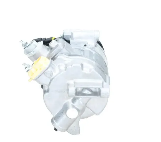 Kompressor, Klimaanlage BV PSH 090.595.091.050 Bild Kompressor, Klimaanlage BV PSH 090.595.091.050