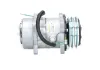 Kompressor, Klimaanlage BV PSH 090.625.016.200 Bild Kompressor, Klimaanlage BV PSH 090.625.016.200