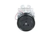 Kompressor, Klimaanlage BV PSH 090.715.003.876