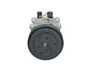 Kompressor, Klimaanlage BV PSH 090.815.013.200