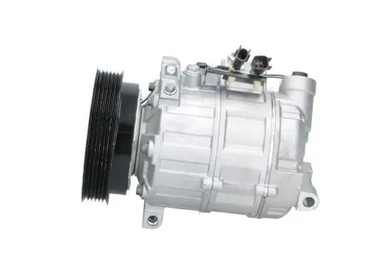 Kompressor, Klimaanlage BV PSH 090.815.020.200 Bild Kompressor, Klimaanlage BV PSH 090.815.020.200