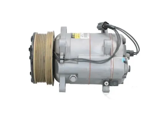 Kompressor, Klimaanlage BV PSH 090.815.040.200 Bild Kompressor, Klimaanlage BV PSH 090.815.040.200