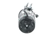 Kompressor, Klimaanlage BV PSH 090.845.009.876