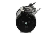 Kompressor, Klimaanlage BV PSH 090.845.020.876