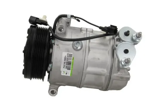 Kompressor, Klimaanlage BV PSH 090.845.020.876 Bild Kompressor, Klimaanlage BV PSH 090.845.020.876