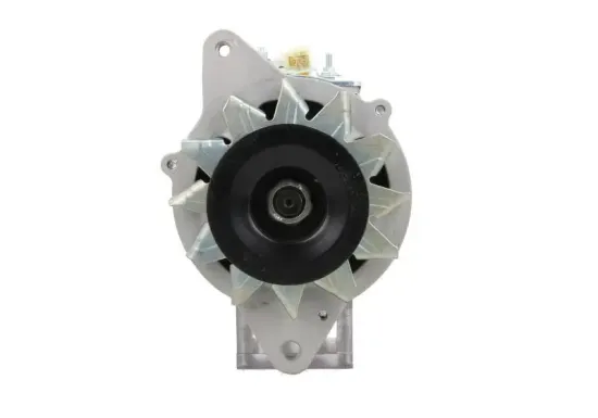 Generator 24 V BV PSH 196.802.025.050 Bild Generator 24 V BV PSH 196.802.025.050