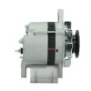 Generator 12 V BV PSH 165.002.035.130 Bild Generator 12 V BV PSH 165.002.035.130
