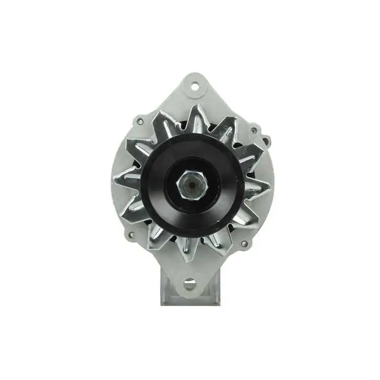 Generator 12 V BV PSH 165.811.070.080