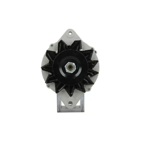 Generator 12 V BV PSH 165.814.070.080 Bild Generator 12 V BV PSH 165.814.070.080