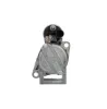 Starter 12 V 1,4 kW BV PSH 200.550.133.210 Bild Starter 12 V 1,4 kW BV PSH 200.550.133.210