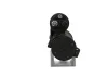 Starter 12 V 1,4 kW BV PSH 550.550.102.505 Bild Starter 12 V 1,4 kW BV PSH 550.550.102.505