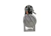 Starter 12 V 1,8 kW BV PSH 550.908.092.210 Bild Starter 12 V 1,8 kW BV PSH 550.908.092.210