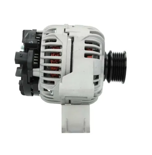 Generator 12 V BV PSH 555.544.120.014 Bild Generator 12 V BV PSH 555.544.120.014