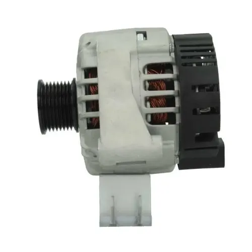 Generator 12 V BV PSH 555.548.120.000 Bild Generator 12 V BV PSH 555.548.120.000