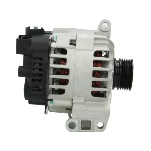 Generator 12 V BV PSH 555.560.090.004 Bild Generator 12 V BV PSH 555.560.090.004