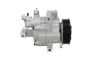 Kompressor, Klimaanlage BV PSH 090.225.039.000 Bild Kompressor, Klimaanlage BV PSH 090.225.039.000