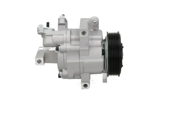 Kompressor, Klimaanlage BV PSH 090.225.039.000 Bild Kompressor, Klimaanlage BV PSH 090.225.039.000