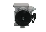Kompressor, Klimaanlage BV PSH 090.845.017.020