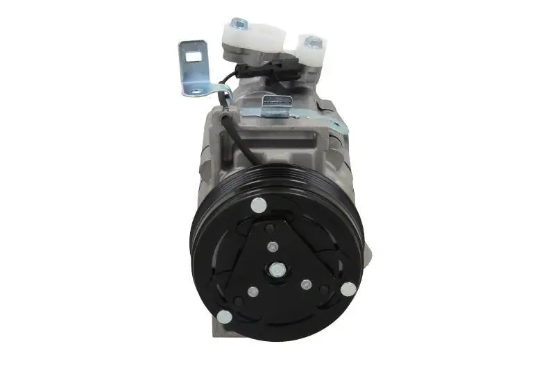 Kompressor, Klimaanlage BV PSH 090.175.009.000