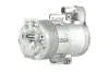 Kompressor, Klimaanlage BV PSH 095.215.001.310