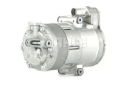 Kompressor, Klimaanlage BV PSH 095.215.001.310