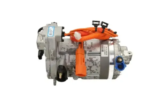 Kompressor, Klimaanlage BV PSH 095.825.002.980 Bild Kompressor, Klimaanlage BV PSH 095.825.002.980