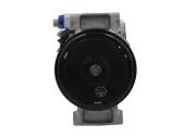 Kompressor, Klimaanlage BV PSH 090.205.019.260