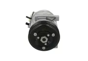 Kompressor, Klimaanlage BV PSH 090.105.002.260