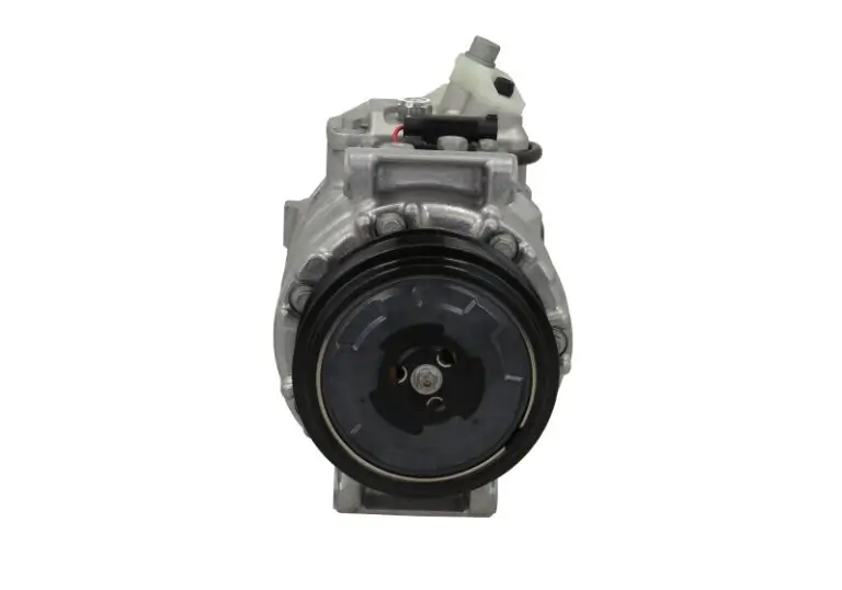 Kompressor, Klimaanlage BV PSH 090.555.003.262