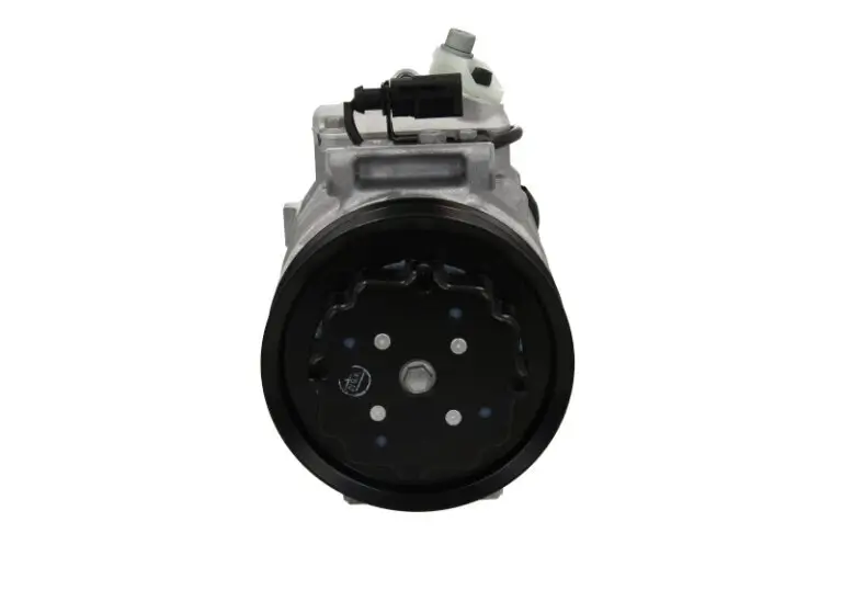 Kompressor, Klimaanlage BV PSH 090.485.001.260