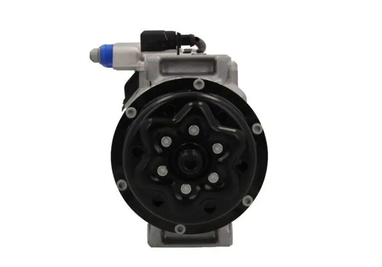 Kompressor, Klimaanlage BV PSH 090.305.013.260