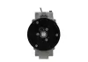 Kompressor, Klimaanlage BV PSH 090.175.001.260