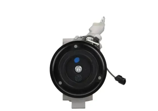 Kompressor, Klimaanlage BV PSH 090.125.001.260 Bild Kompressor, Klimaanlage BV PSH 090.125.001.260