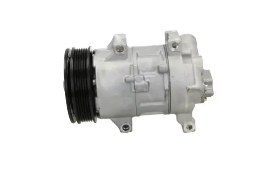 Kompressor, Klimaanlage BV PSH 090.195.023.260 Bild Kompressor, Klimaanlage BV PSH 090.195.023.260