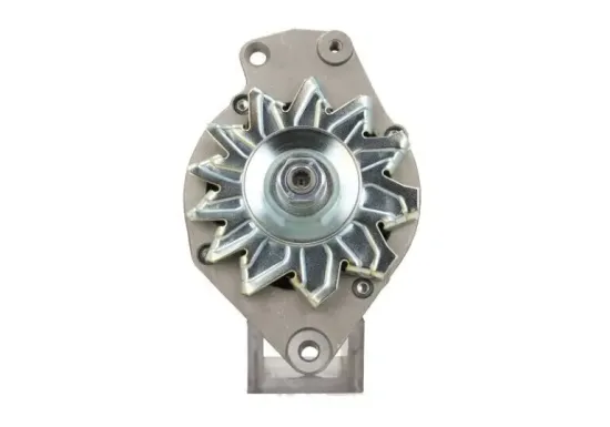 Generator 12 V BV PSH 305.024.065.311 Bild Generator 12 V BV PSH 305.024.065.311