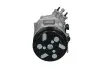 Kompressor, Klimaanlage BV PSH 090.135.042.876