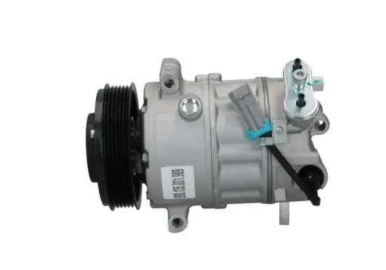 Kompressor, Klimaanlage BV PSH 090.135.031.876 Bild Kompressor, Klimaanlage BV PSH 090.135.031.876