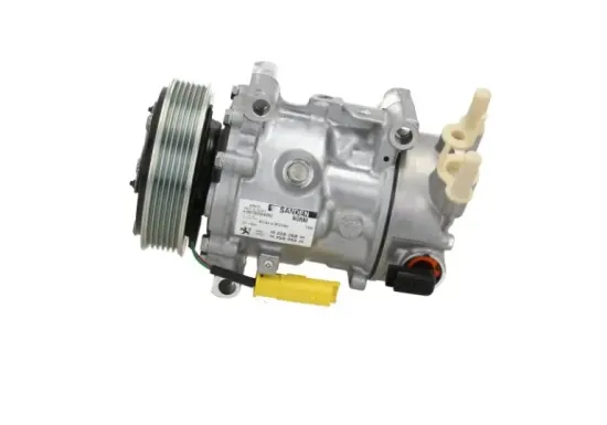 Kompressor, Klimaanlage BV PSH 090.225.011.905 Bild Kompressor, Klimaanlage BV PSH 090.225.011.905