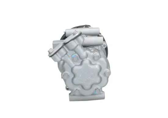 Kompressor, Klimaanlage BV PSH 090.575.017.876 Bild Kompressor, Klimaanlage BV PSH 090.575.017.876