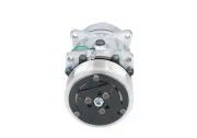 Kompressor, Klimaanlage BV PSH 090.575.047.876
