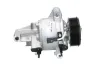 Kompressor, Klimaanlage BV PSH 090.575.069.500 Bild Kompressor, Klimaanlage BV PSH 090.575.069.500