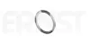 Dichtring, Abgasrohr ERNST 493789