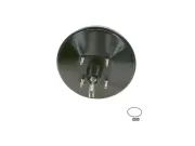 Bremskraftverstärker BOSCH 0 204 125 910