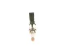 Einspritzventil BOSCH 0 261 500 585 Bild Einspritzventil BOSCH 0 261 500 585